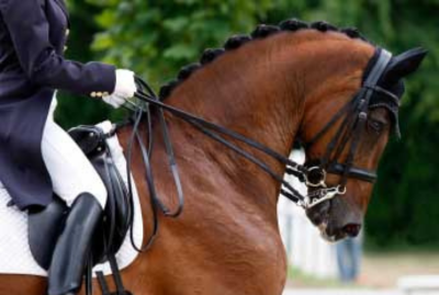 Horse Syndication - or The more we get together, the happier we
