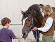 Questions for an Equine Law Practitioner&##x3a; You Have a Corporation - Can You Be Personally Liable&##x3f;