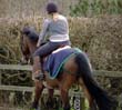 Questions for an Equine Law Practitioner&##xa; &##xa;In Tough Financial Times -- &##xa;Should You Let the Boarding Stable Use Your Horse for Lessons&##x3f;