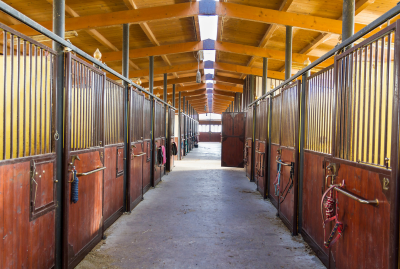 Questions for an Equine Law Practitioner -&##xd;&##xa;Evicting Boarding Stable Customers