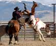 Breakeven or Bust! Knowing Your Breakeven Can Keep Your Horse Business Right Side Up!