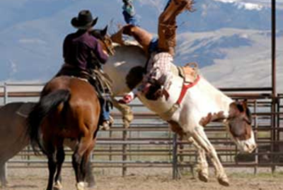 Breakeven or Bust&##x21; Knowing Your Breakeven Can Keep Your Horse Business Right Side Up&##x21;