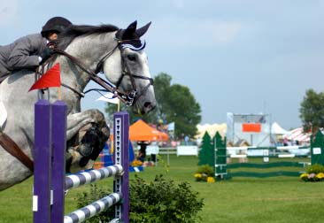 A Red Flag is Right On A Show Jumping Course But Not On Your Tax Return - How to Decrease Your  Risk of an Audit&##x21;