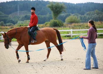 What Are the Most Important Traits a Riding Instructor Should Have&##x3f;