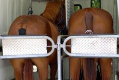 Horse Show Expenses - What&##x27;s Deductible