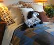 Horse Show Success - What is It About The Night Before