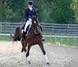 Questions for an Equine Law Practitioner&##xa;&##xa;Fine Tune Your Equine Lease to Avoid Legal Battles Later