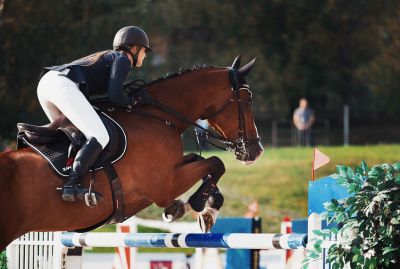 Equine Syndicates and Partnerships - How Can They Benefit Your Career