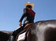 Watch Out for Horse Show Liabilities