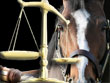 Webinar&##x3a; Changes to California Equine Sales Law - What Horse Professionals Need to Know