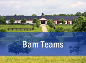 Barn Teams