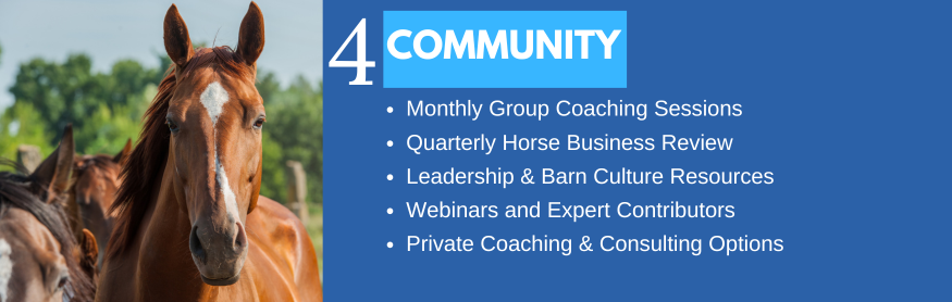 Horse Business and Equestrian Sports Success