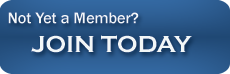 Horse Business and Equestrian Sports Success