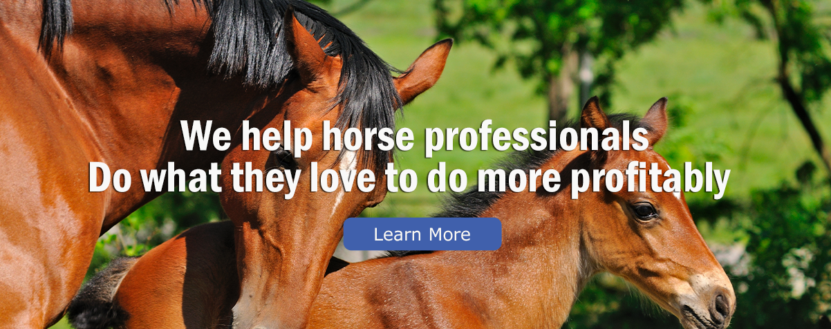 Membership Benefits Equestrian Professional Tools Coaching