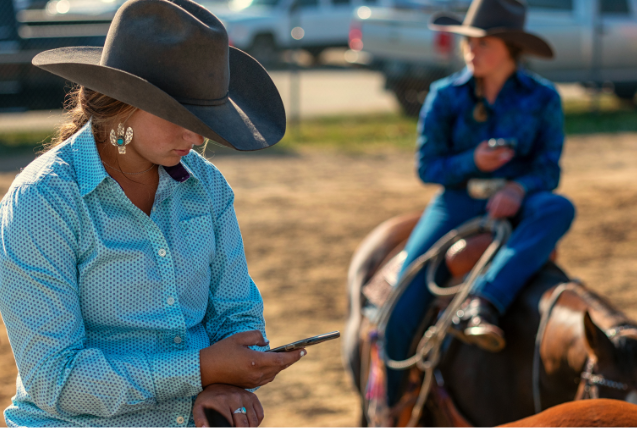 Horse Business Calculators for Fast Answers
