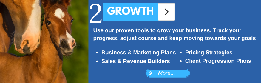 Horse Business and Equestrian Career Growth
