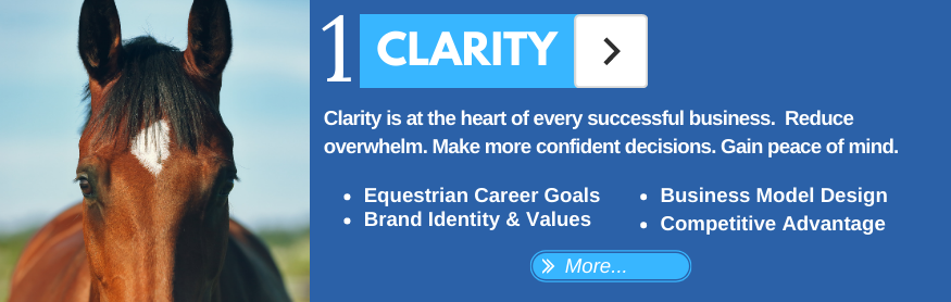 Developing Clarity About Your Horse Business