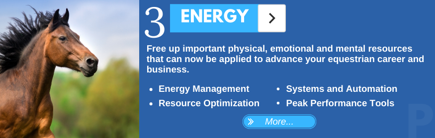 Keep Your Energy Levels High