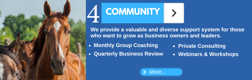Equine Business Community Support