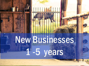 New Horse Business